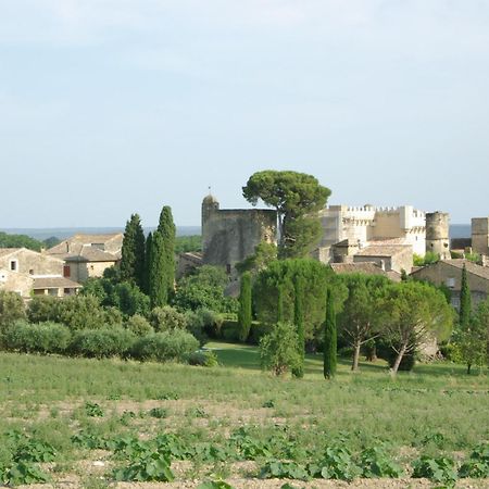 Bed and breakfast Tour Sarrazine de Montaren Extérieur photo