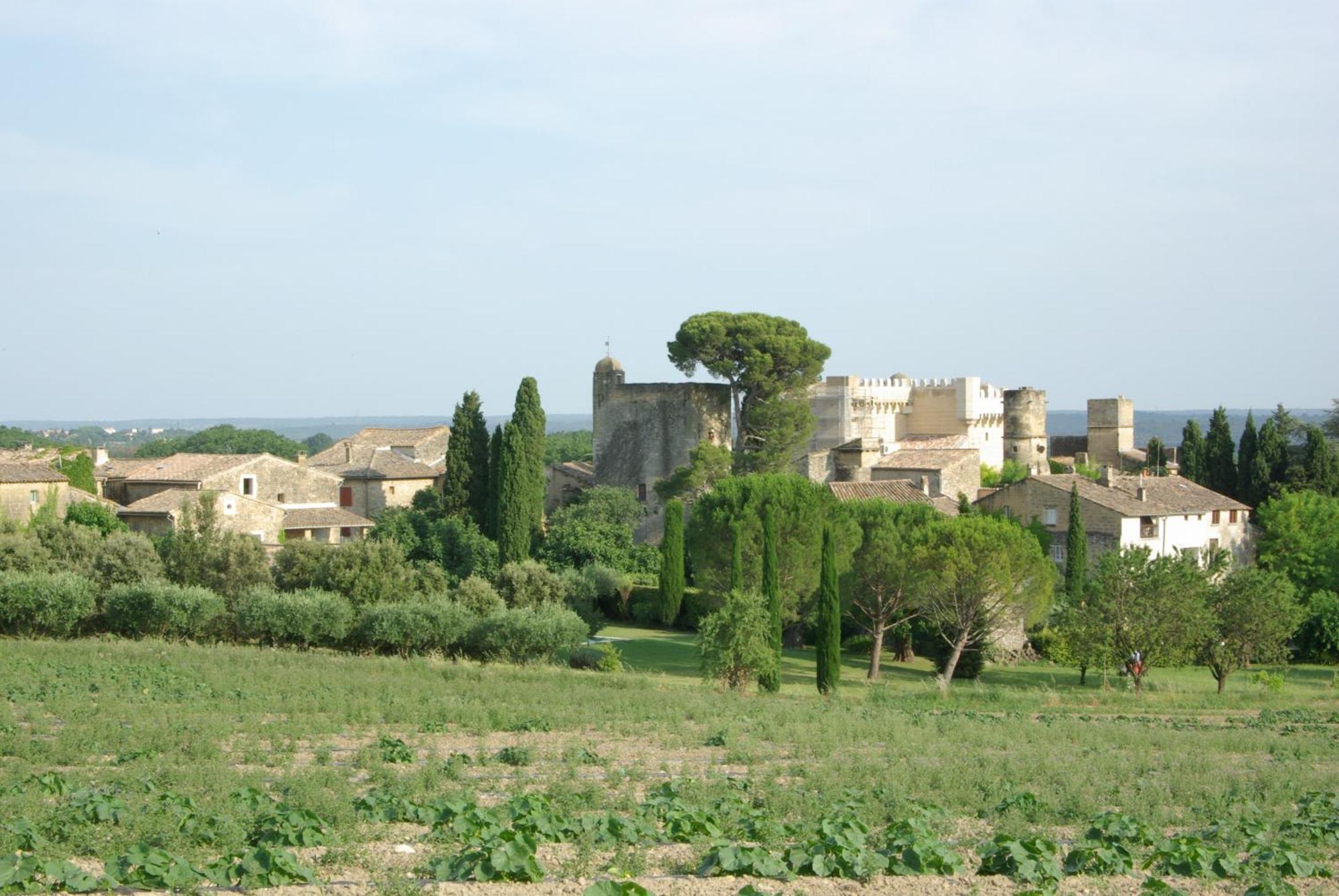 Bed and breakfast Tour Sarrazine de Montaren Extérieur photo